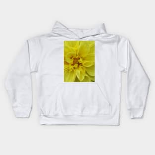 dahlia in full bloom and glowing bright yellow flower head in closeup Kids Hoodie